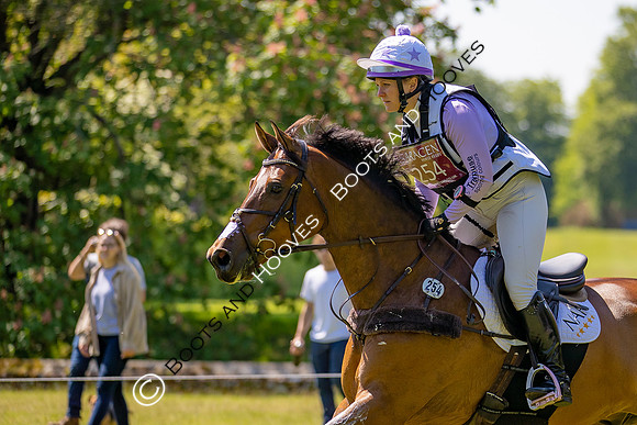 Houghton International