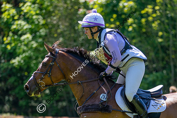 Houghton International