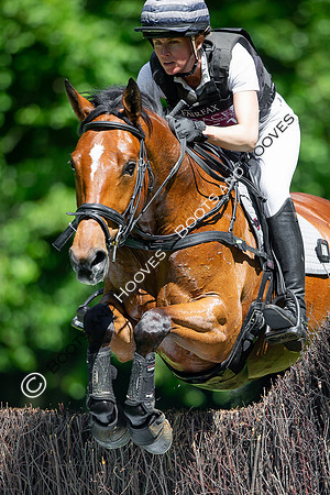 Houghton International