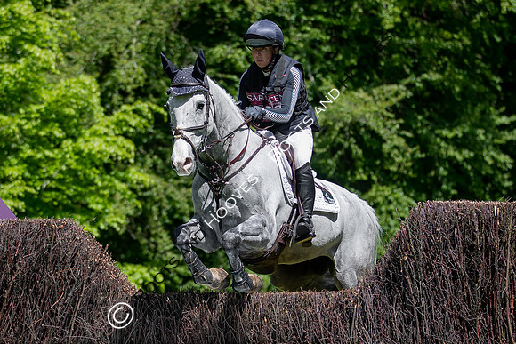 Houghton International
