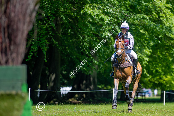 Houghton International