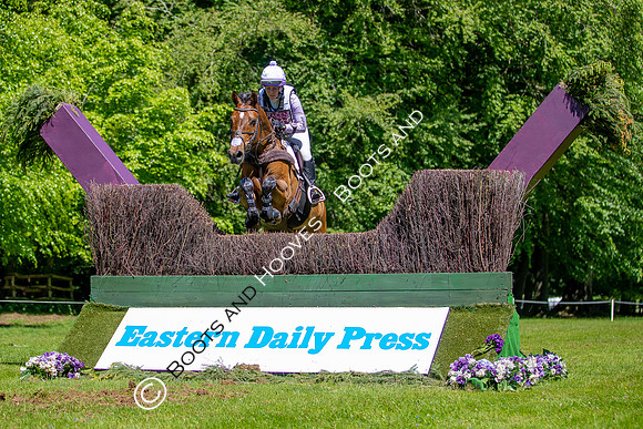 Houghton International