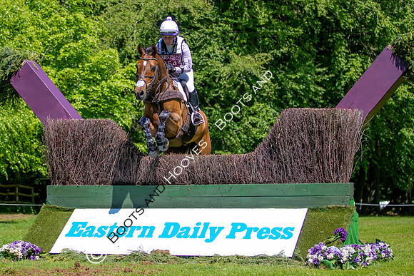 Houghton International