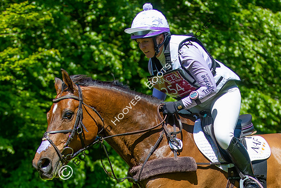 Houghton International