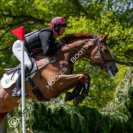 Houghton International