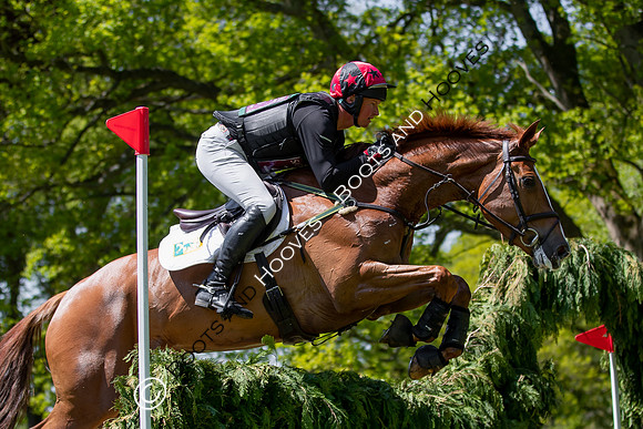 Houghton International