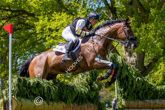 Houghton International