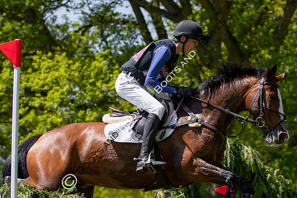 Houghton International