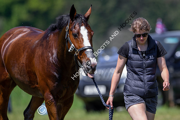 Houghton International