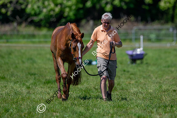 Houghton International
