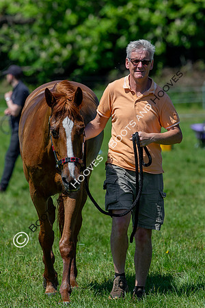 Houghton International