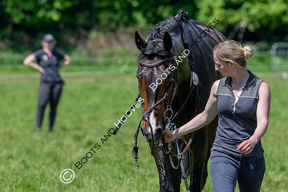 Houghton International