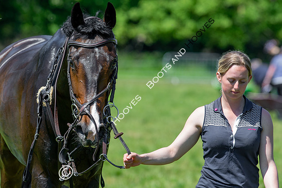 Houghton International