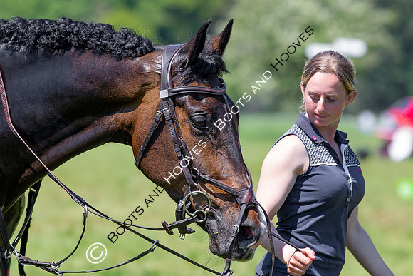 Houghton International