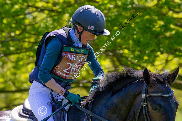 Houghton International