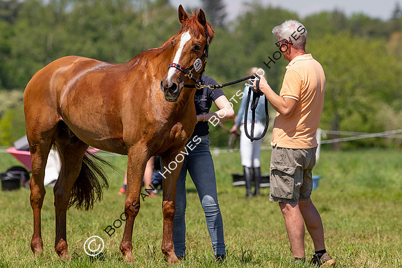 Houghton International