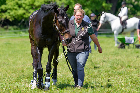 Houghton International