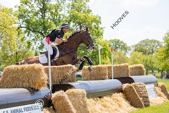 Houghton International