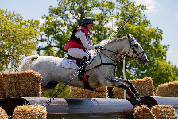 Houghton International