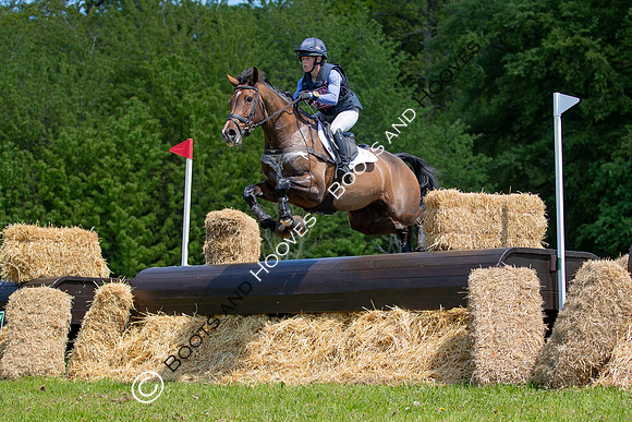 Houghton International
