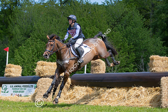 Houghton International