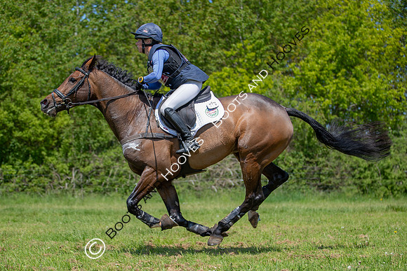 Houghton International