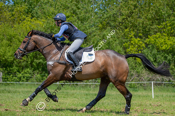 Houghton International