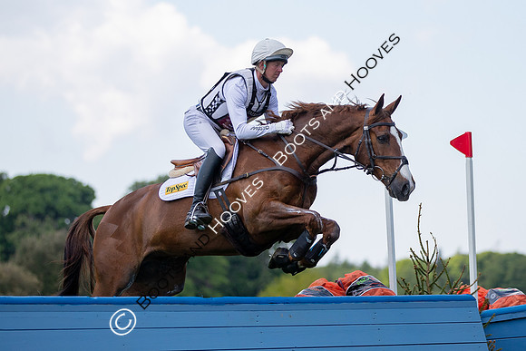 Houghton International