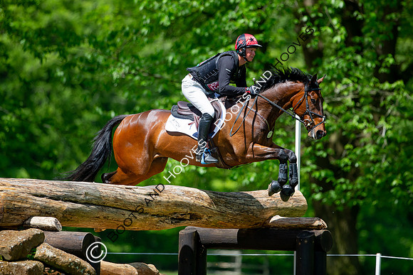 Houghton International
