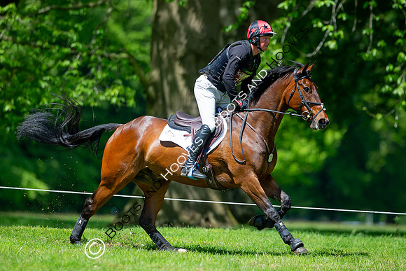 Houghton International