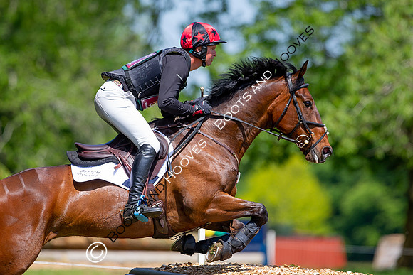 Houghton International