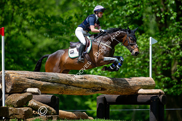 Houghton International