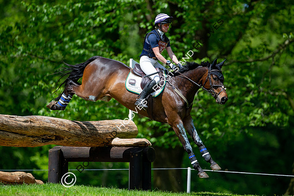 Houghton International