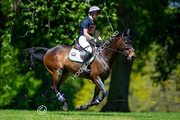 Houghton International
