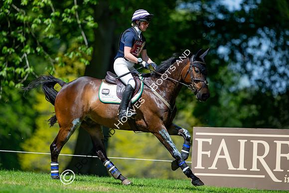 Houghton International