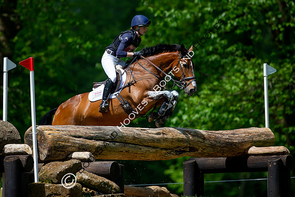 Houghton International