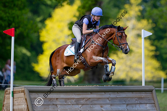 Houghton International