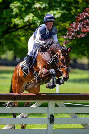 Houghton International