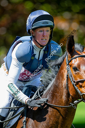 Houghton International
