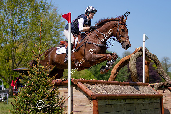 Houghton International