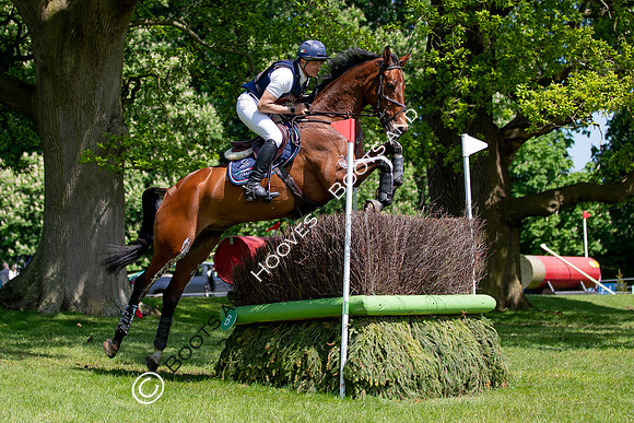 Houghton International