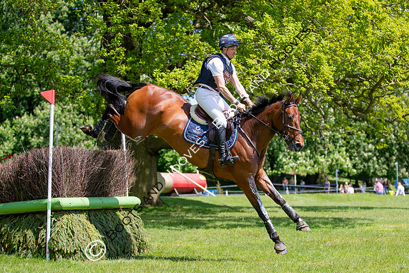 Houghton International