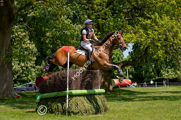 Houghton International