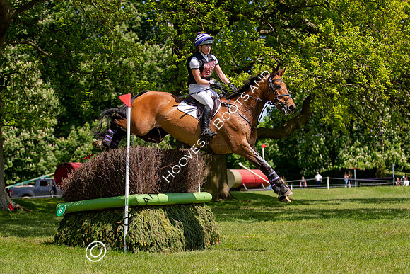 Houghton International