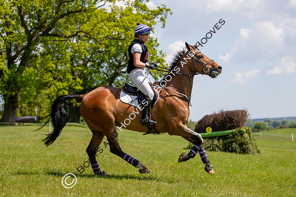 Houghton International