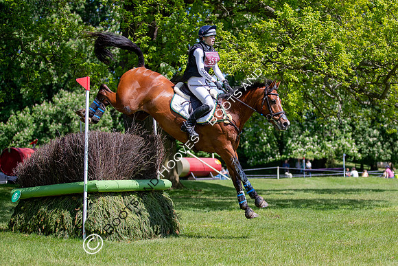 Houghton International
