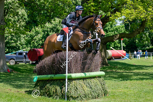 Houghton International