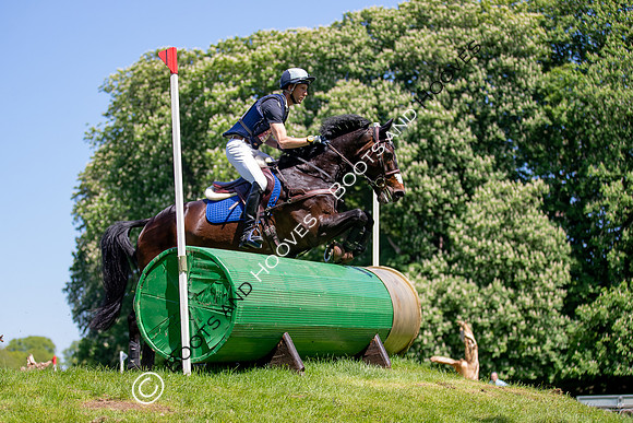 Houghton International