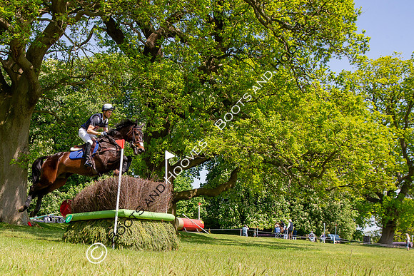 Houghton International