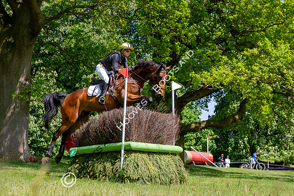 Houghton International
